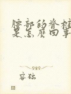 腰部的脊椎骨疼是怎么回事