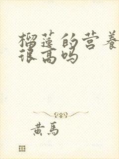 榴莲的营养真的很高吗