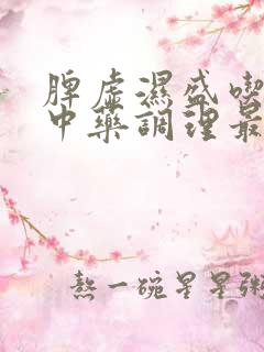 脾虚湿盛吃什么中药调理最好