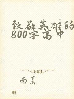 致敬英雄的作文800字高中