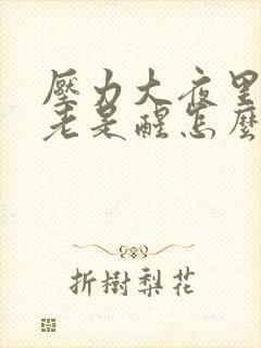 压力大夜里做梦老是醒怎么办