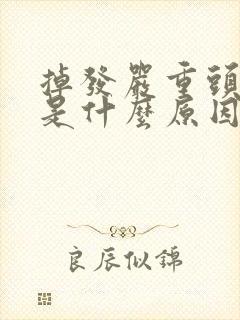 掉发严重头皮亮是什么原因