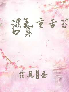 湿气重舌苔黄腻口臭