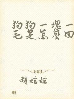 狗狗一块一块掉毛是怎么回事