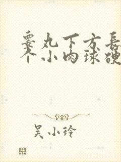 睾丸下方长了一个小肉球硬硬的