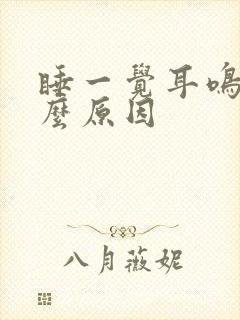 睡一觉耳鸣了什么原因