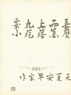 睾丸上面长很多小疙瘩怎么回事