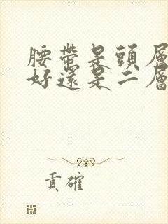 腰带是头层牛皮好还是二层牛皮好