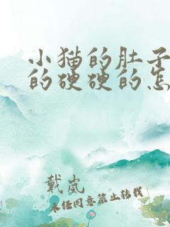 小猫的肚子鼓鼓的硬硬的怎么回事