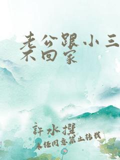 老公跟小三同居不回家