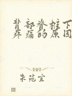 背部脊椎下部位疼痛的原因