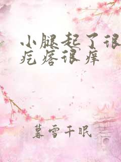 小腿起了很多小疙瘩很痒