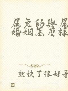 属兔的与属马的婚姻怎么样