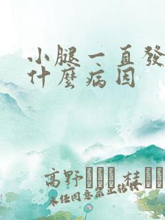 小腿一直发凉是什么病因