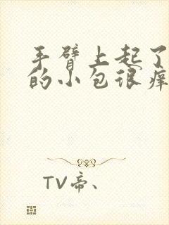 手臂上起了红色的小包很痒