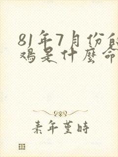 81年7月份的鸡是什么命