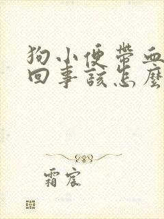 狗小便带血怎么回事该怎么治疗