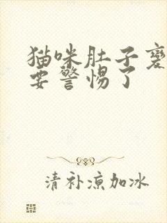 猫咪肚子变大了要警惕了