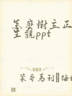 怎么树立正确人生观ppt