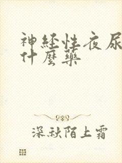 神经性夜尿多吃什么药