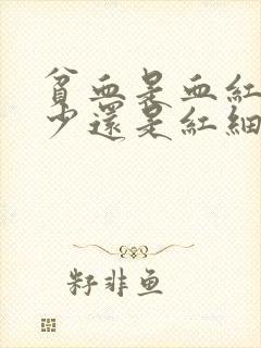 贫血是血红蛋白少还是红细胞少