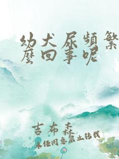 幼犬尿频繁是怎么回事呢