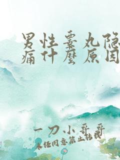 男性睾丸隐隐作痛什么原因引起的