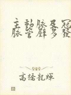 主动脉及冠状动脉管壁多发钙化斑块