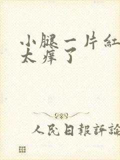 小腿一片红疹子太痒了