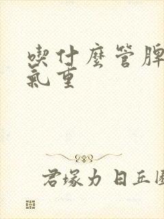 吃什么管脾虚湿气重