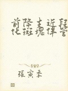 前降支近段非钙化斑块伴管腔轻度狭窄