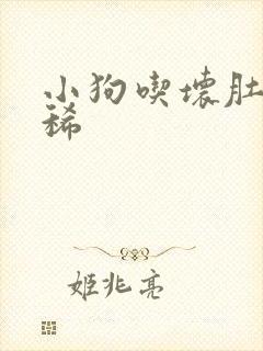 小狗吃坏肚子拉稀