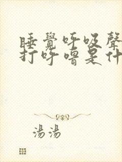 睡觉呼吸声音重打呼噜是什么原因