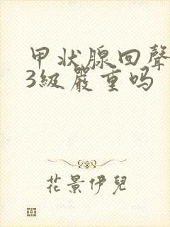 甲状腺回声结节3级严重吗