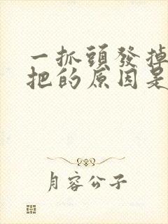 一抓头发掉一大把的原因是什么