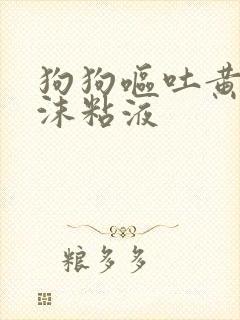 狗狗呕吐黄水泡沫粘液