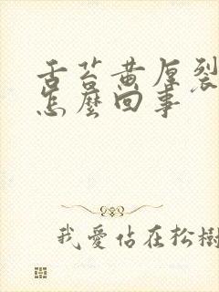 舌苔黄厚裂纹是怎么回事