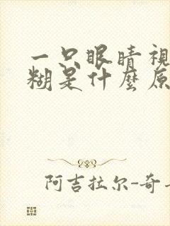 一只眼睛视力模糊是什么原因