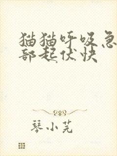 猫猫呼吸急促腹部起伏快