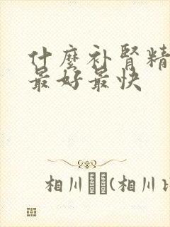 什么补肾精效果最好最快