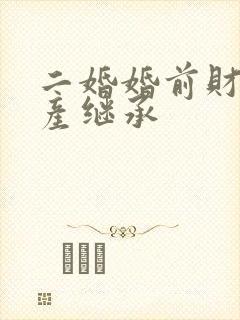 二婚婚前财产遗产继承