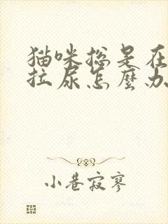 猫咪总是在床上拉尿怎么办