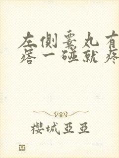 左侧睾丸有个疙瘩一碰就疼