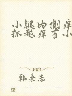 小腿内侧痒痒越抓越痒有小红疙瘩