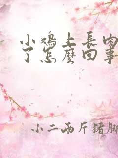 小鸡上长肉疙瘩了怎么回事