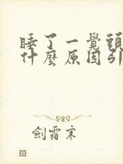 睡了一觉头晕是什么原因引起的