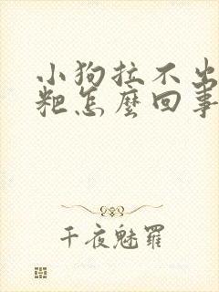 小狗拉不出来粑粑怎么回事