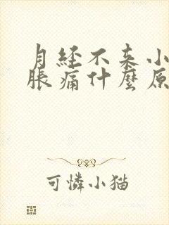 月经不来小肚子胀痛什么原因呢