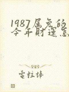 1987属兔的今年财运怎么样