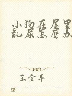 小狗在屋里乱拉乱尿怎么办